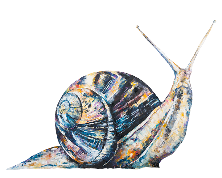 snail print