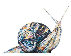 snail print