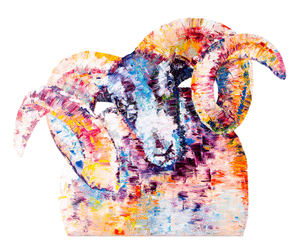 sheep, sheep print, sheep gift