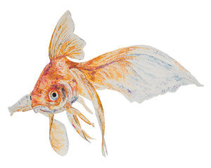 angel fish, fish, gold fish print