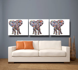 Baby Elephant 'Nelly' Giclee Canvas Print
