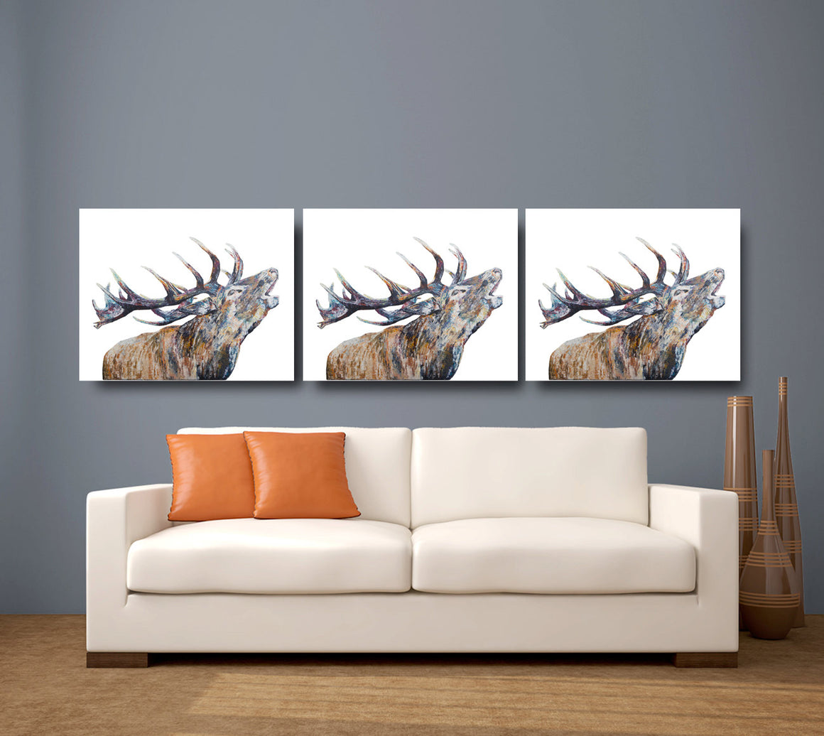 CANVAS PRINTS